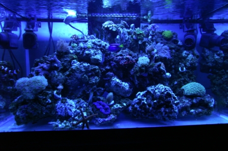 PICT1927