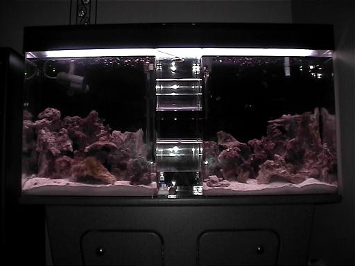 Tank1a