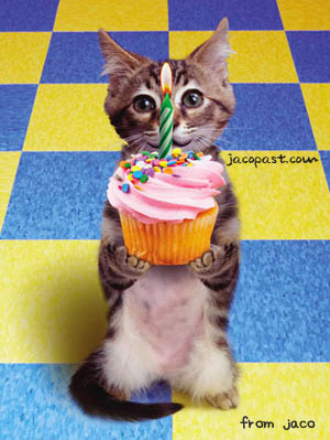 birthday_cupcake