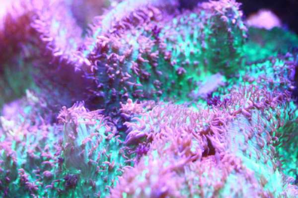 03_Coasting_011