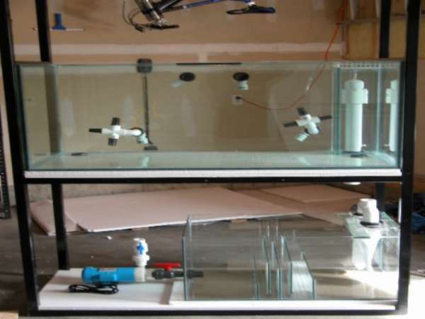 Img2005_04_0901