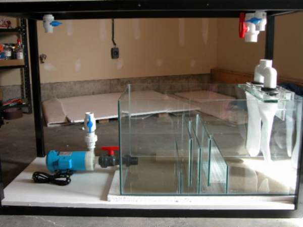 Img2005_04_0901