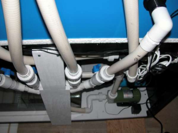 Img2005_05_0403