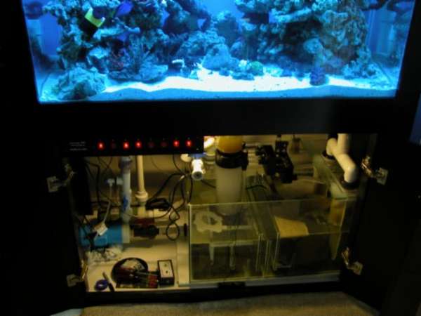 Img2005_05_0601
