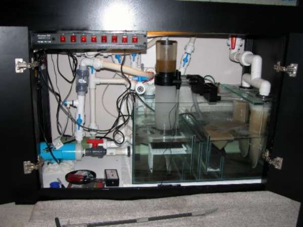 Img2005_05_0606