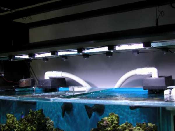 Img2005_05_2501