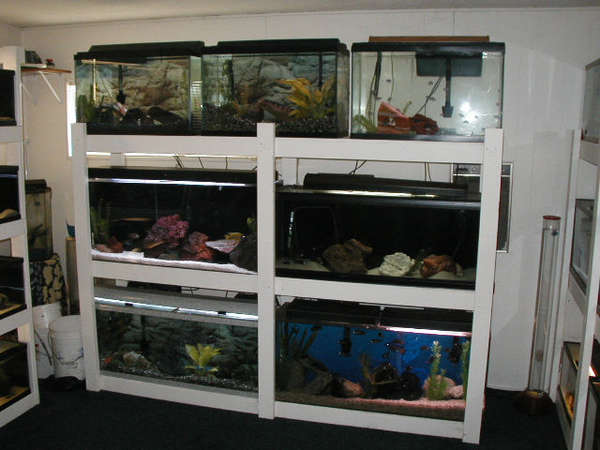 Post-23-627-Fish_Room_002_jpg