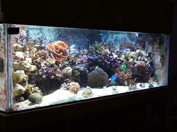 Tank as of Nov. 15/04