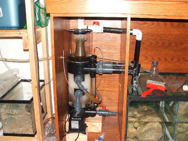 Skimmer