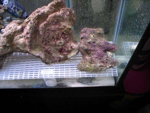 rocksample1