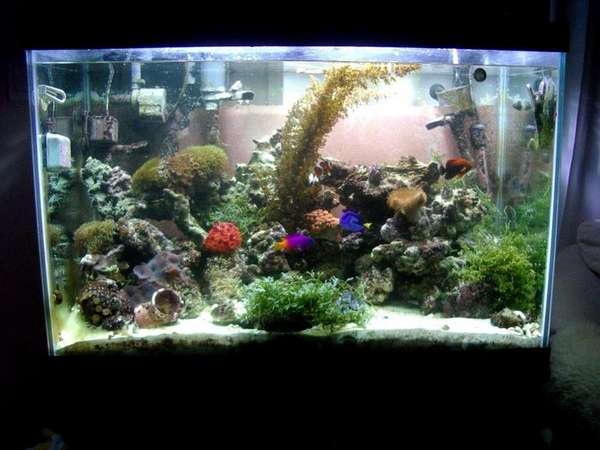 How it looks now!