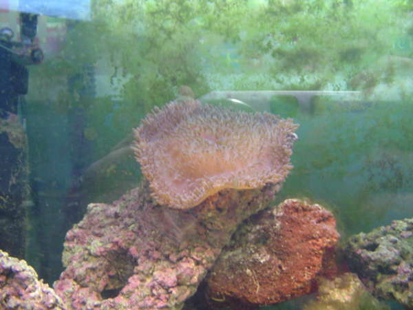 DSC00641