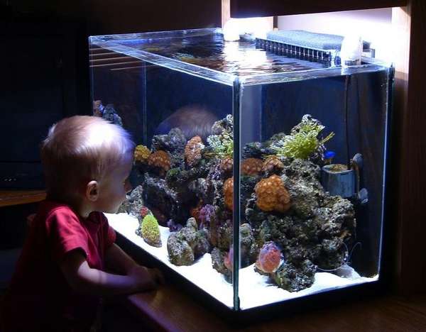 Future generation