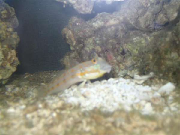 IMG_0287_Small_