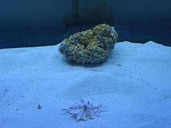 My First Piece of Rock