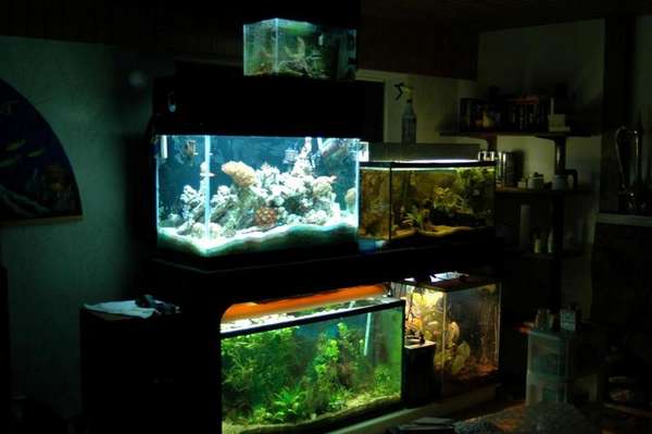 Fish room