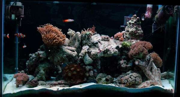 Front view - June 1/05