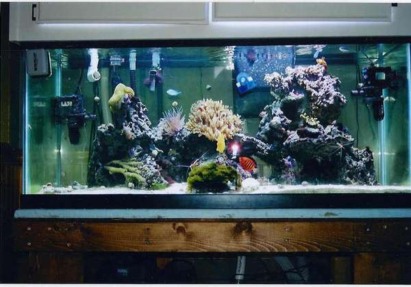 June 2005