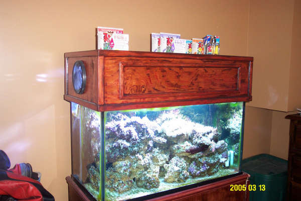 the 3 main tanks