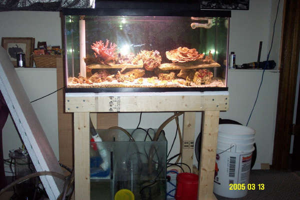 the 3 main tanks