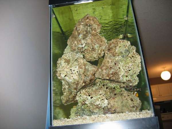 fish_1_26_05_001