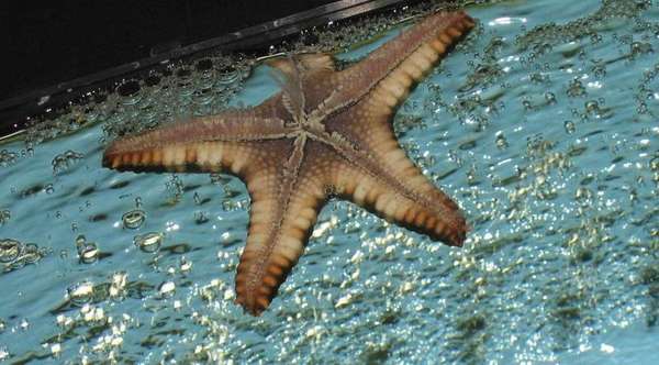 fish_1_26_05_001