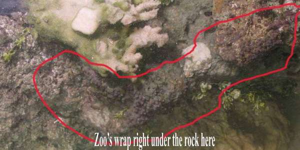 zoo1