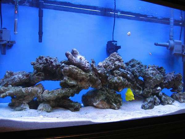 tank_pic