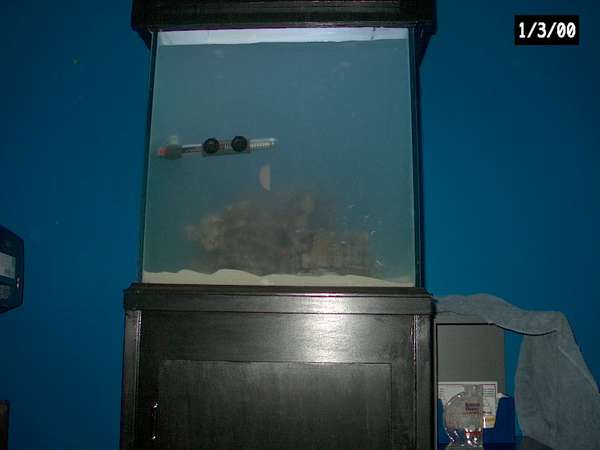 Setting Up My Cube Tank