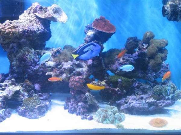 180_Reef_Nov_17_Right_Side