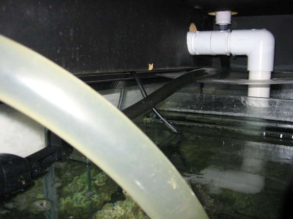 Inside Shot