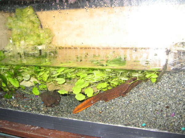 Picture_017