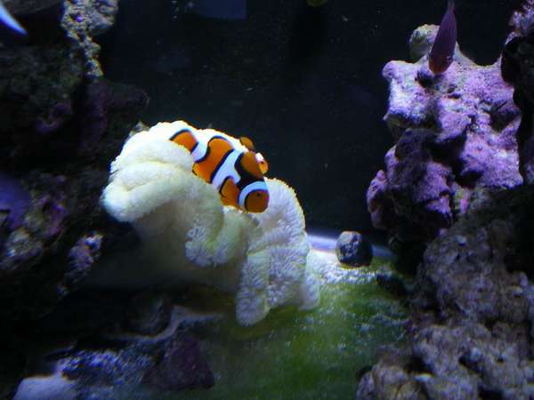 2007-06-18_001