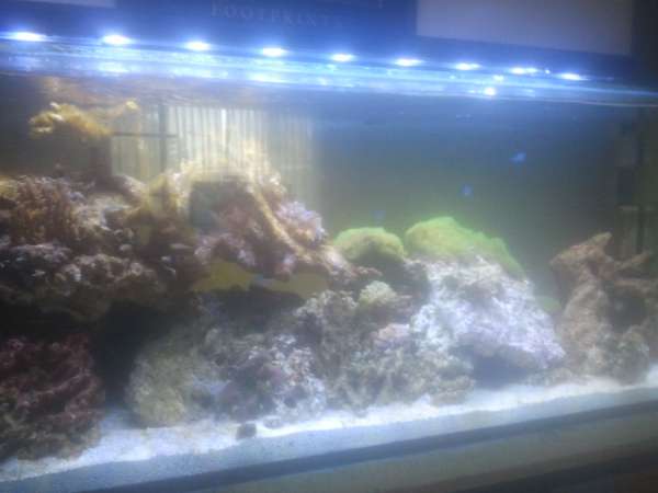 2012-07-09_14_08_06