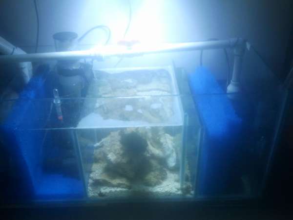 2012-07-12_17_35_36