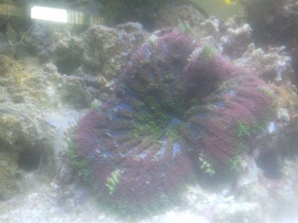 2012-07-12_17_35_51