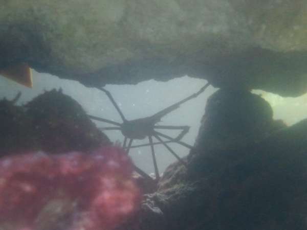 2012-07-12_17_36_10