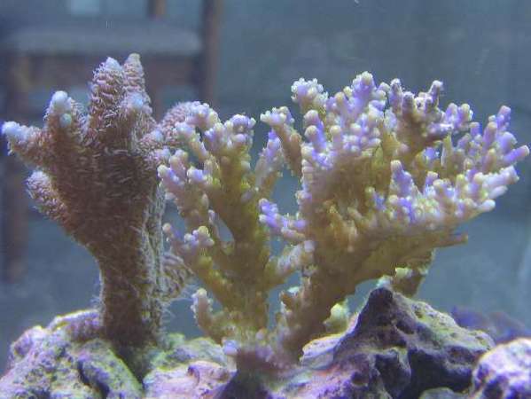 IMG_4353a