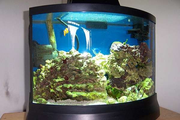 7 gallon bow