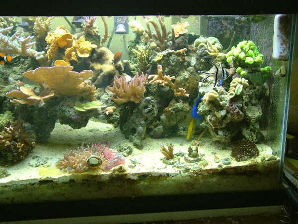 Right side of tank