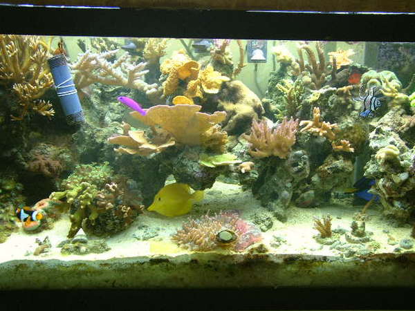 Center of tank