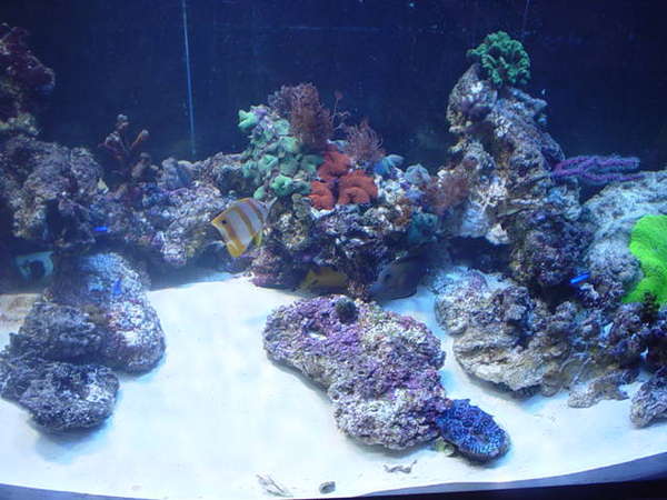 Picture_113