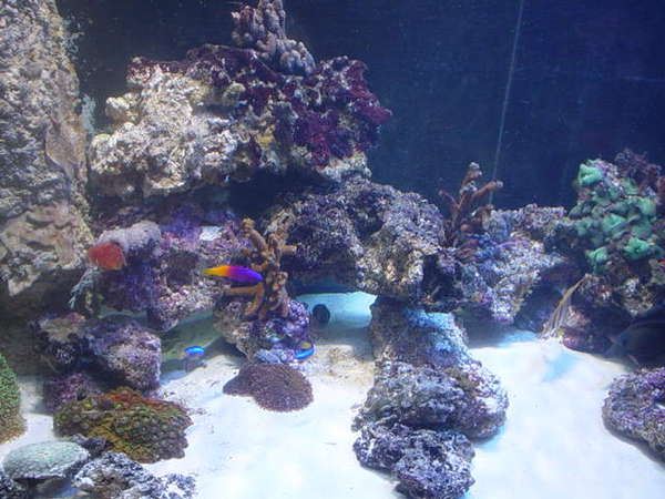 Picture_113
