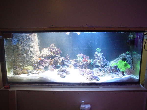 Picture_115