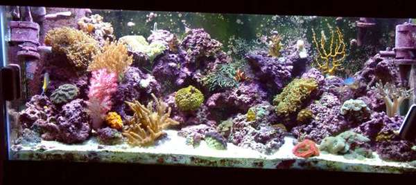 My Tank 11-06-03