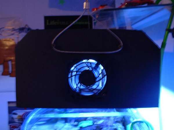 Picture_003