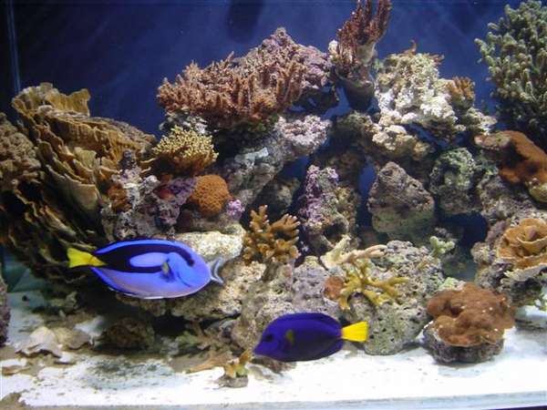 DSC00005_Small_