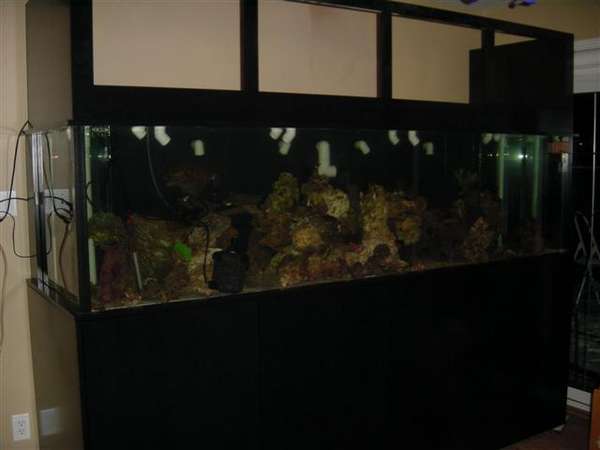 DSC00117_Small_