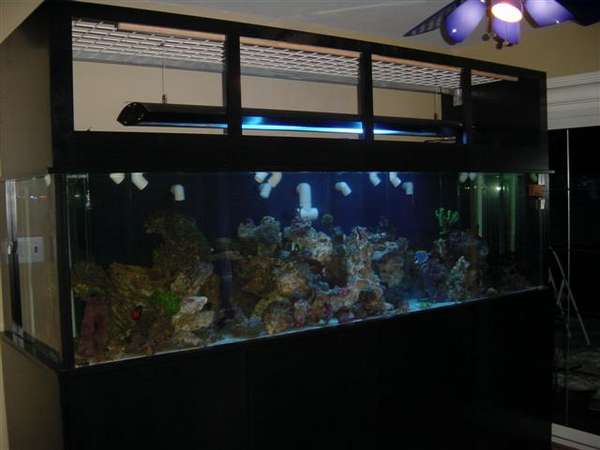 DSC00126_Small_