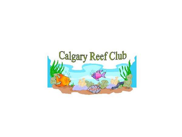 logo_4